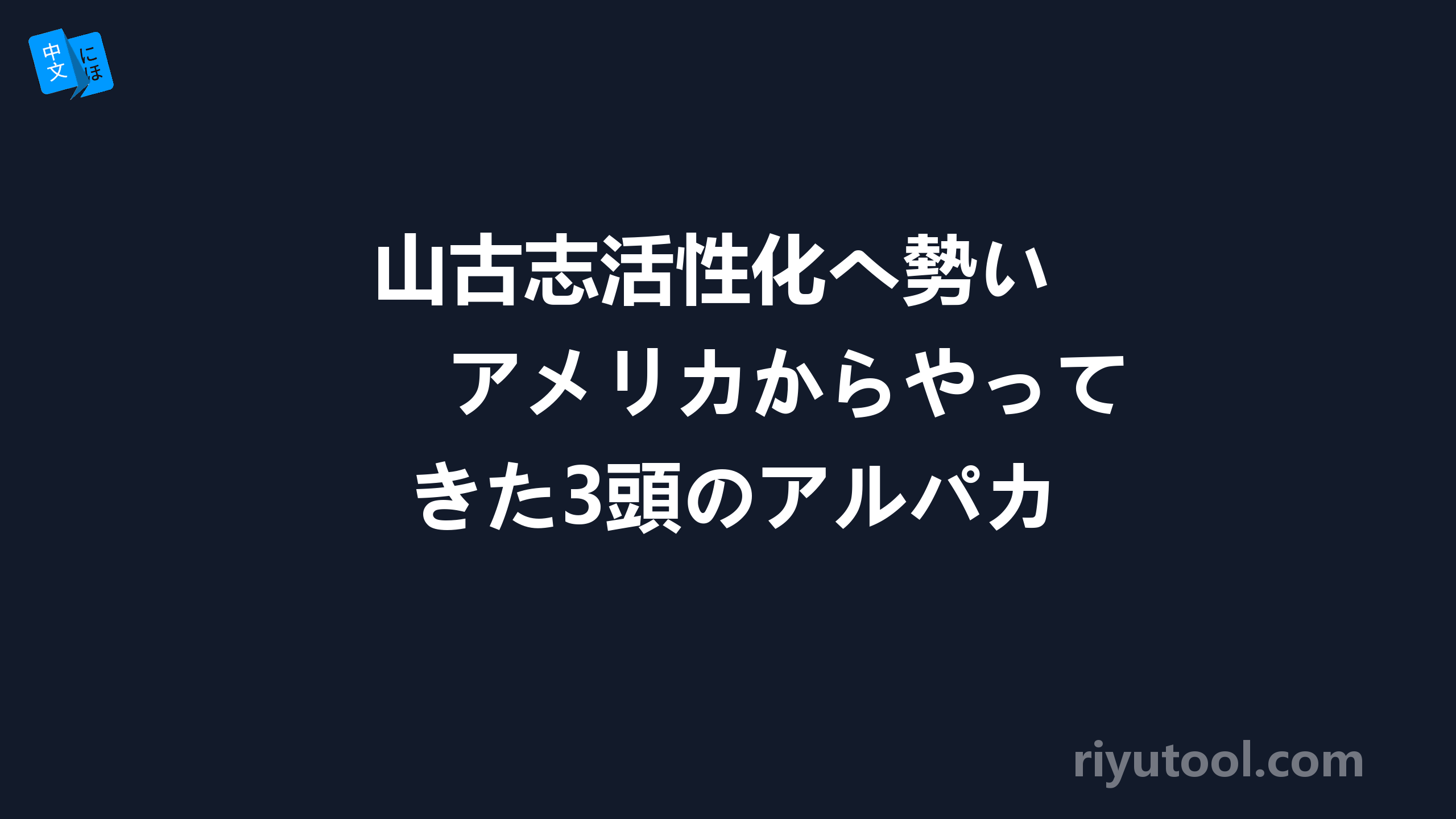 山古志活性化へ勢い　アメリカからやってきた3頭のアルパカ